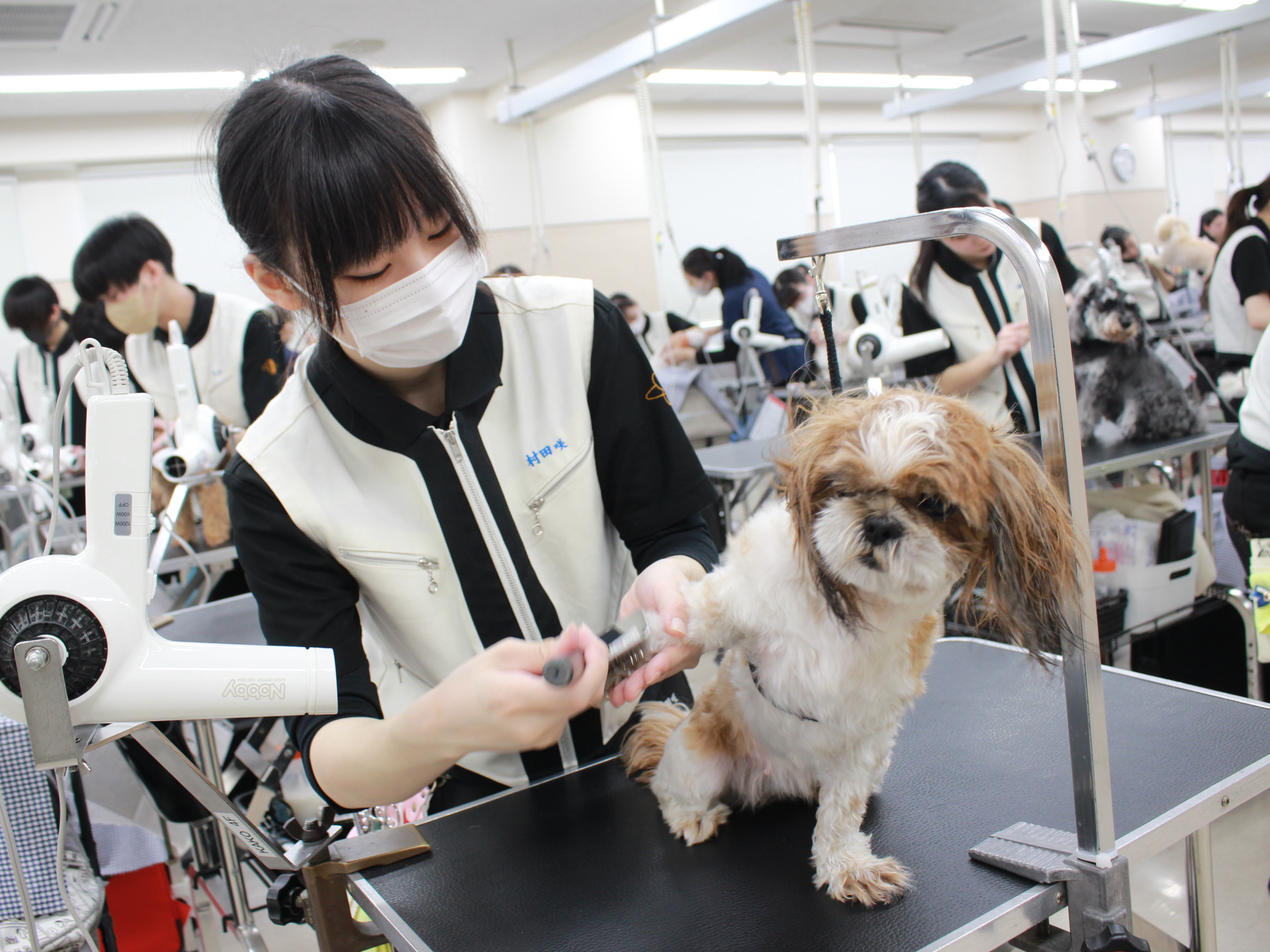 新2年生のトリミングが始まりました☆